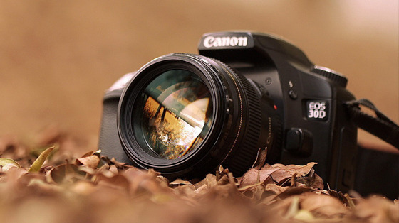 Fotografía de detalles